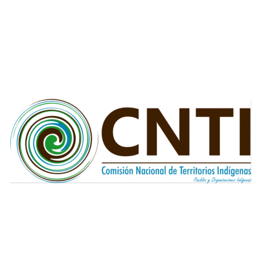 CNTI logo