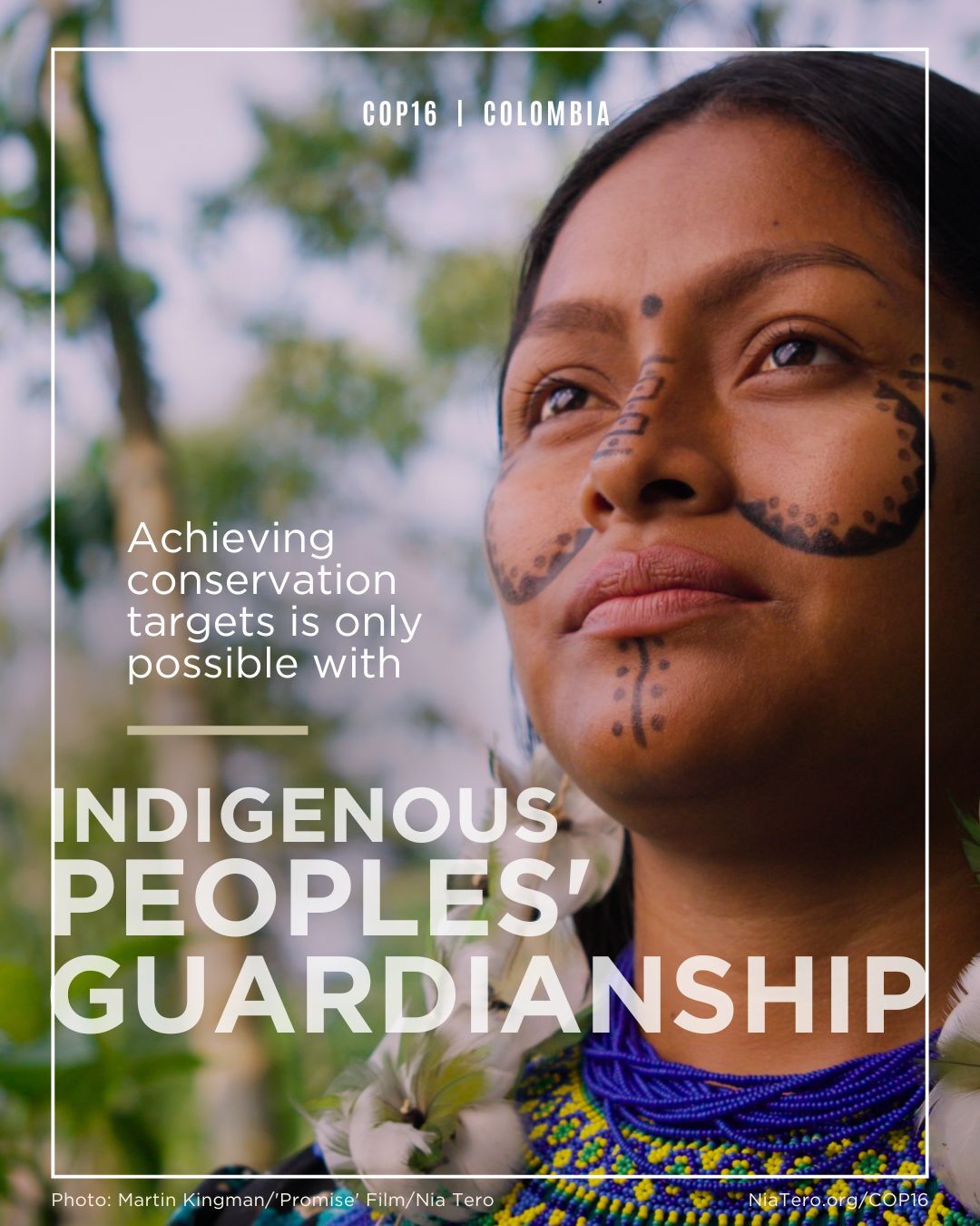 COP16 Guardianship 1