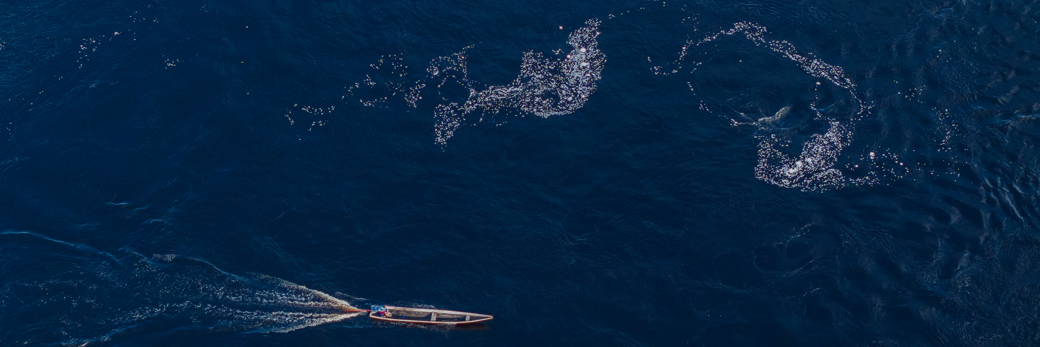 Aerial view of Kamikia Kisedje Boat