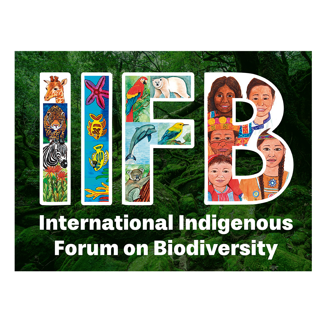 IIFB Logo Square White BG