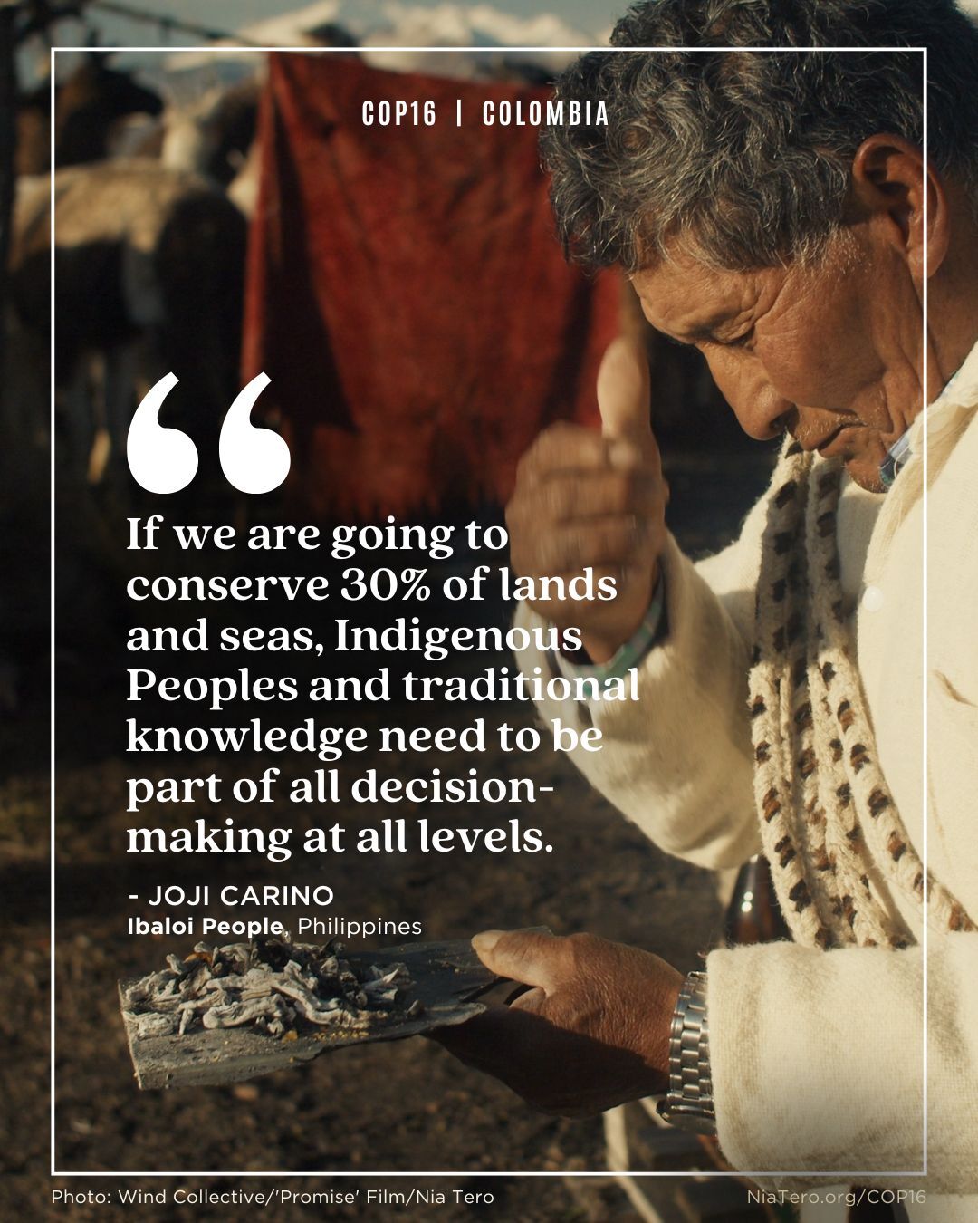 Quote Joji Carino COP16