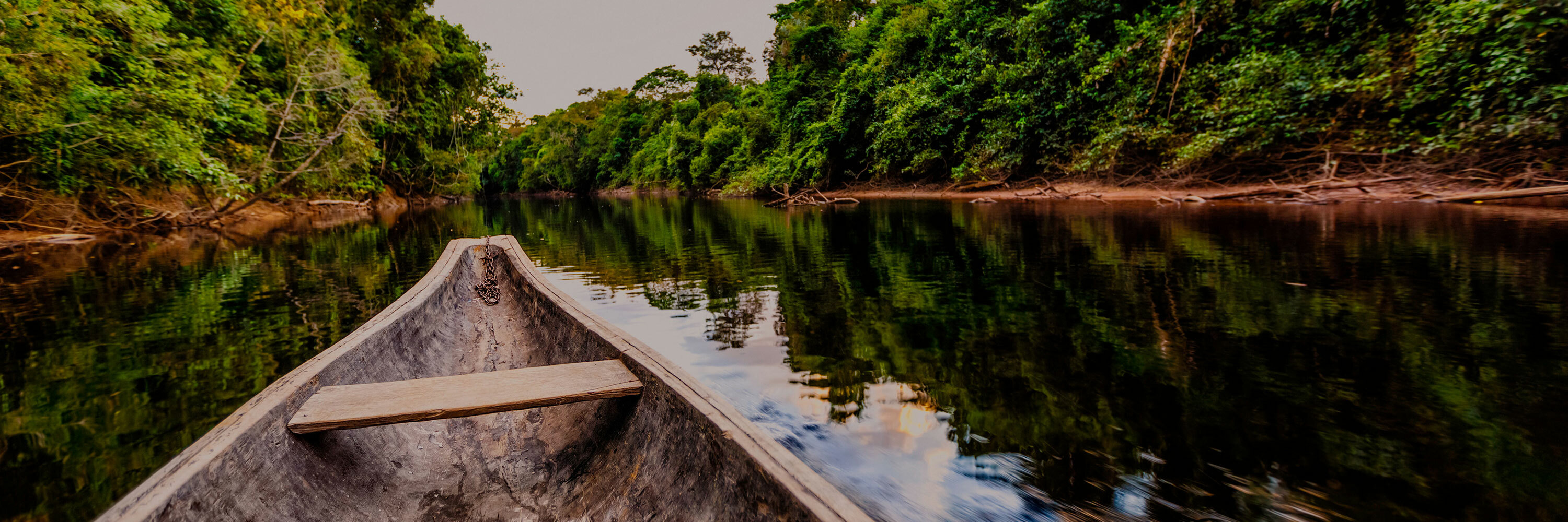 Bow of a boat heading down a river edged with trees