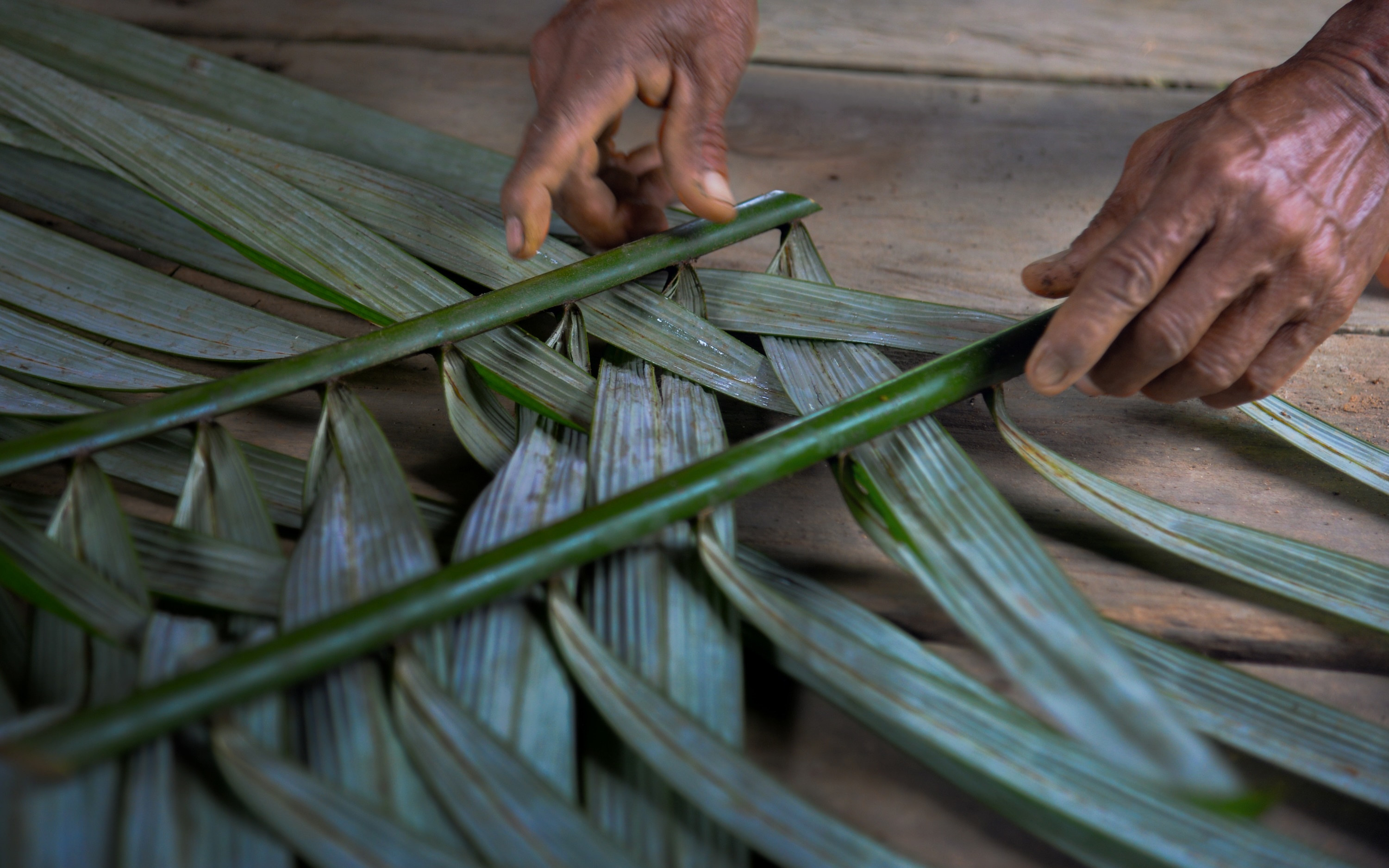 Tejido de tarejano putumayo cropped to 7x3 - hands and woven material